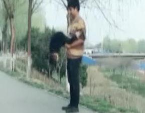 翻跟头视频,一招一式尽显身手