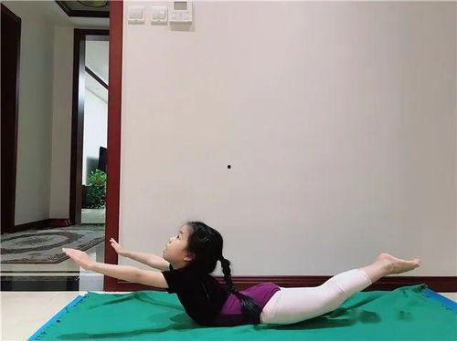 基本功训练视频,掌握核心技巧，提升技能水平