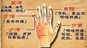 刺血拔罐法教学视频,传统中医养生技巧全解析