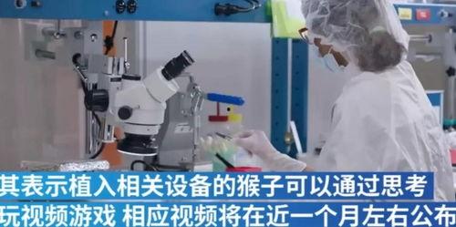 修蓝博士意念治病视频,揭秘心灵疗愈的神奇力量