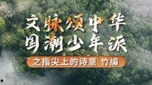 青草草免费视频,畅享无界限的视听盛宴