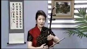 二胡独奏良宵视频宋飞,传承经典，奏响民族音乐之美