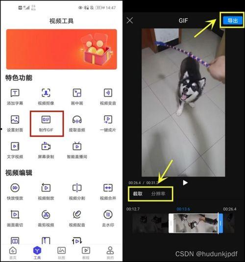 视频动图,XX现象背后的惊人真相