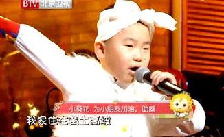 小葵花歌曲视频,阳光下的快乐成长之旅