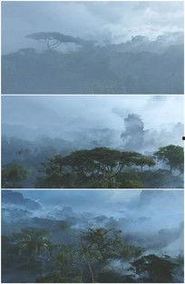 大森林视频,探寻自然奥秘的绿色画卷