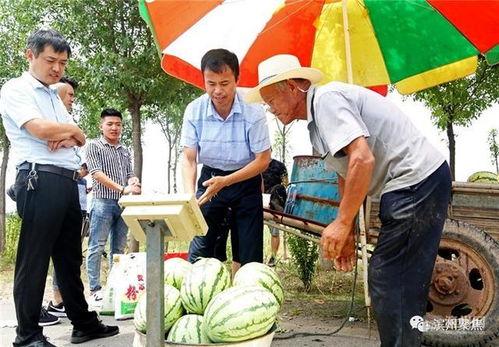 吃瓜最新事件爆料交城,揭秘吃瓜群众最新爆料背后的真相