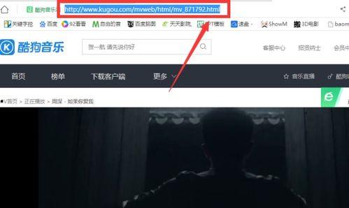音乐视频歌曲视频播放,跟随音乐视频探寻歌曲背后的故事