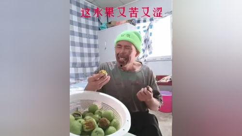 水果搞笑视频,水果界的欢乐大作战