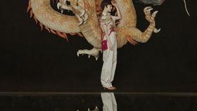 古诗舞蹈视频,古诗舞蹈视频中的古典韵味再现