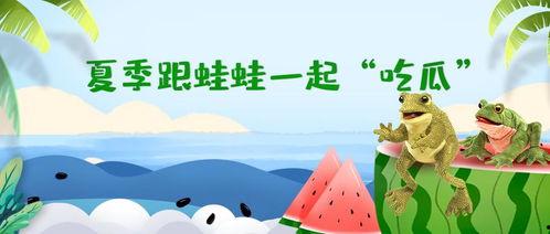 51呱呱爆料吃瓜入口,娱乐圈最新吃瓜入口，揭秘明星幕后故事