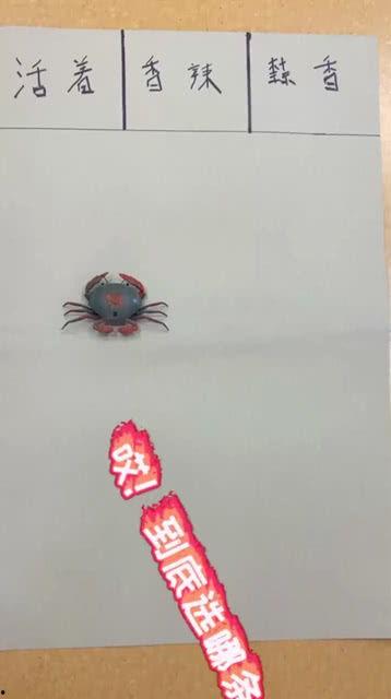 小螃蟹视频播放,带你领略海洋生物的奇妙世界