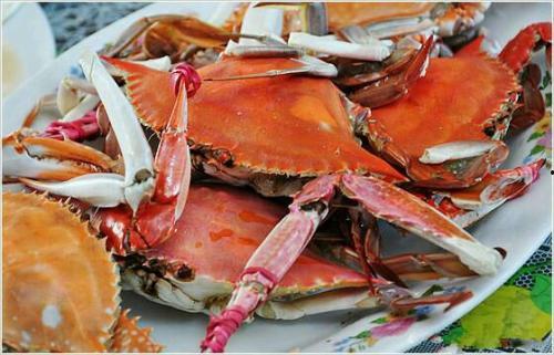 小螃蟹视频播放,带你领略海洋生物的奇妙世界