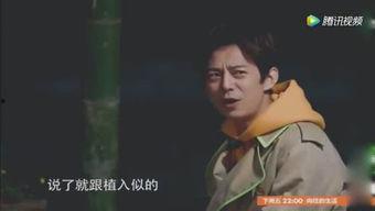 飞姐视频,揭秘生活点滴，畅享视觉盛宴