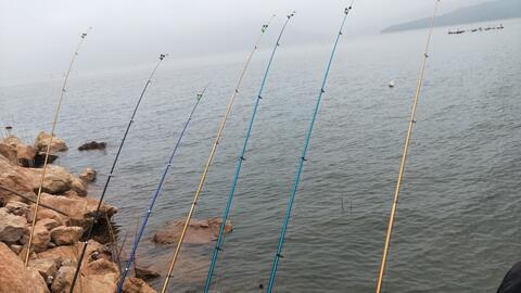 看钓鱼视频,跟随镜头探寻钓鱼的乐趣与技巧