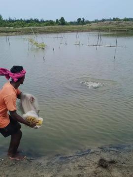 看钓鱼视频,跟随镜头探寻钓鱼的乐趣与技巧
