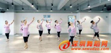 中国舞教学视频,中国舞教学视频精华解析