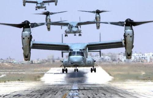 鱼鹰视频,捕捉生活精彩瞬间，带你领略视觉盛宴