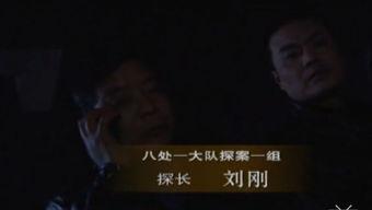 坏人视频,追踪那些令人胆寒的坏人视频