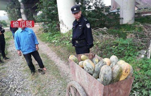 射阳吃瓜最新事件爆料视频,最新爆料视频揭露惊人内幕