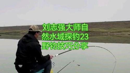 野钓技巧视频,揭秘户外垂钓高手的秘籍