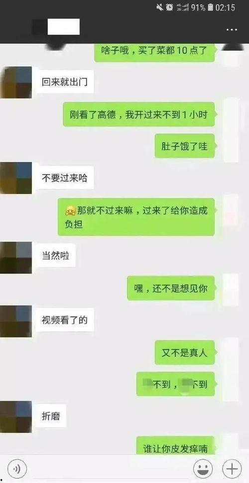 吃瓜爆料群聊天记录图片,聊天记录曝光背后的惊人真相