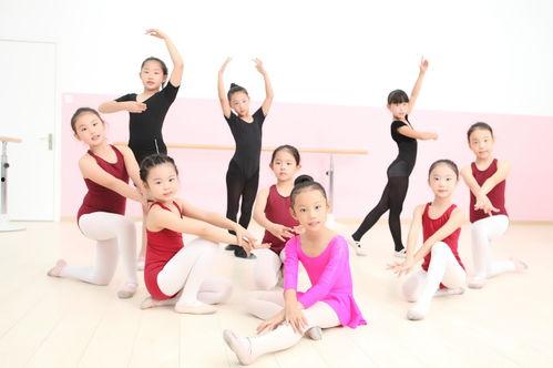 儿童手语舞蹈视频大全,寓教于乐的视觉奇遇