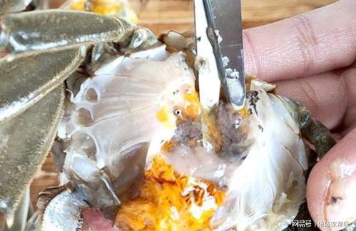 螃蟹怎么做视频,从挑选到上桌的美食之旅
