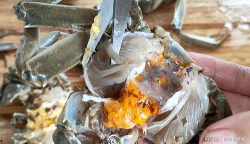 螃蟹怎么做视频,从挑选到上桌的美食之旅