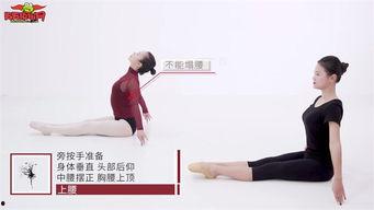 舞蹈基础教学视频