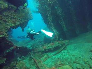 海底潜水视频,海底潜水奇观全景回顾