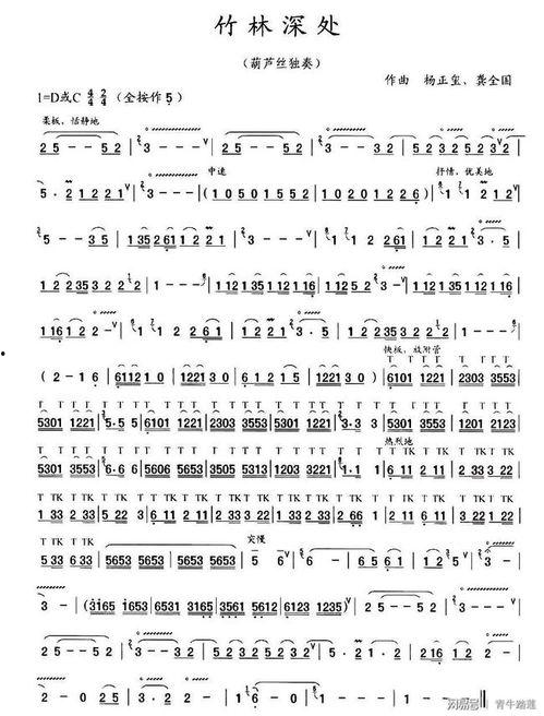 吹葫芦丝视频,视频带你领略民族风情