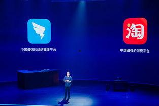 阿里巴巴视频,探索电商新纪元，科技赋能未来购物体验