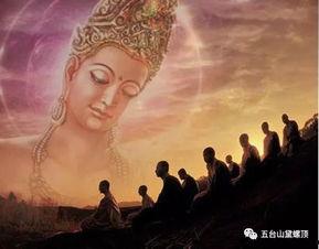 佛歌视频播放,佛歌视频播放中的宁静与启迪