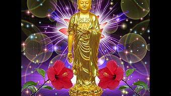 佛歌视频播放,佛歌视频播放中的宁静与启迪