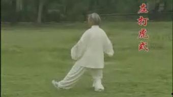 太极85式视频,动静相生，养生之道