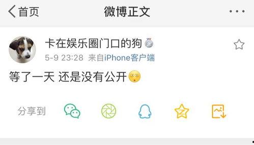 吃瓜爆料54,揭秘娱乐圈背后的惊人真相