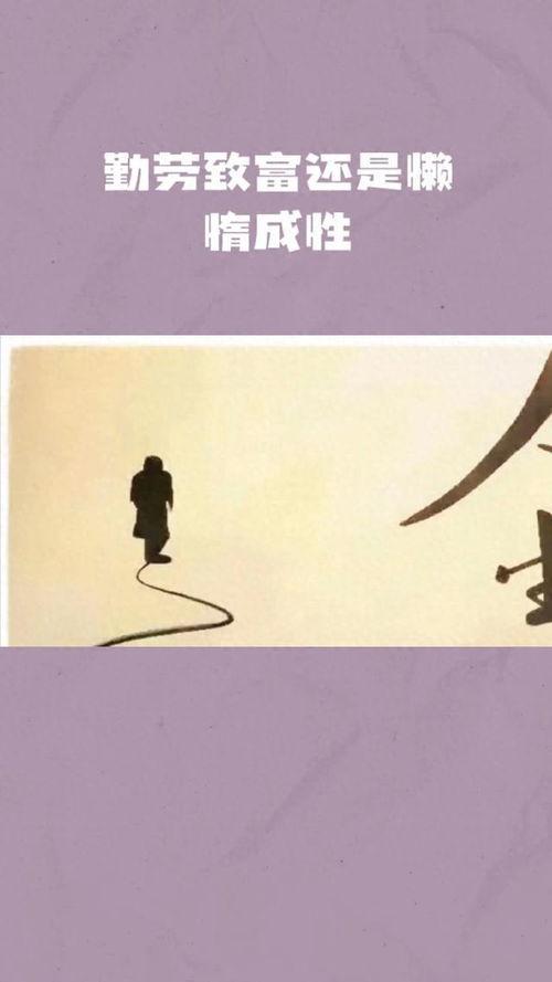 感悟人生视频,视频中的心灵启示录