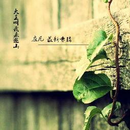 感悟人生视频,视频中的心灵启示录