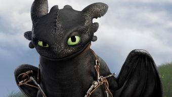 龙的真实视频,揭秘神秘生物的震撼瞬间