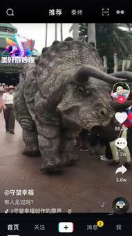 龙的真实视频,揭秘神秘生物的震撼瞬间