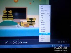 电脑上的视频,捕捉瞬间，展现精彩