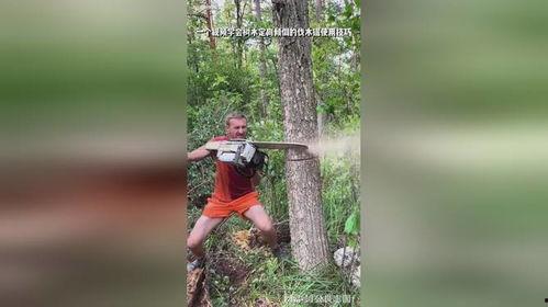 锯树视频