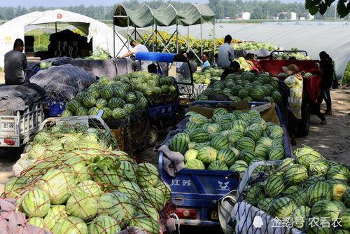 商丘本地吃瓜爆料,本地爆料一网打尽