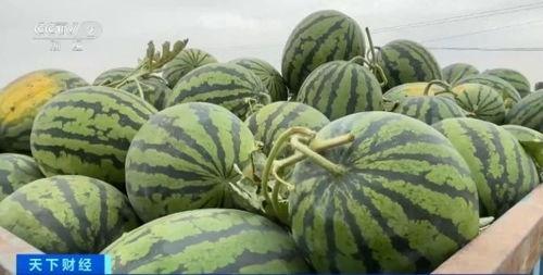 商丘本地吃瓜爆料,本地爆料一网打尽