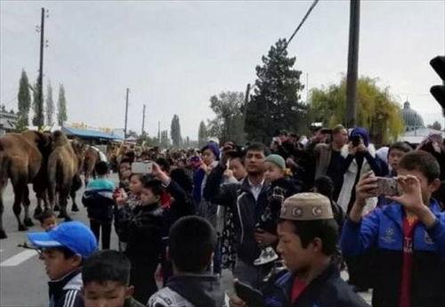 哈萨克斯坦陕西村视频,异国他乡的陕西情结