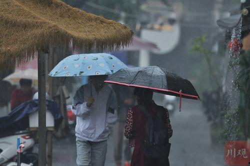 雨中视频,捕捉时光流转的美丽瞬间