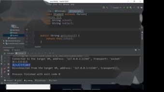 web视频,XX领域的精彩瞬间与深度解析