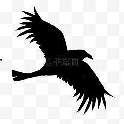 乌鸦飞过的视频素材,捕捉自然之美