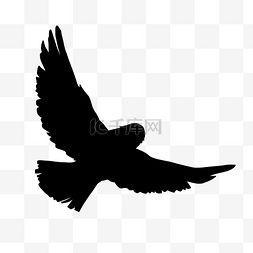 乌鸦飞过的视频素材,捕捉自然之美