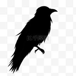 乌鸦飞过的视频素材,捕捉自然之美